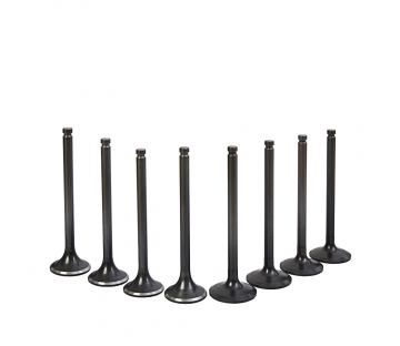 EICHER IB999769 ENGINE VALVE SET (E483NA & TCI)
