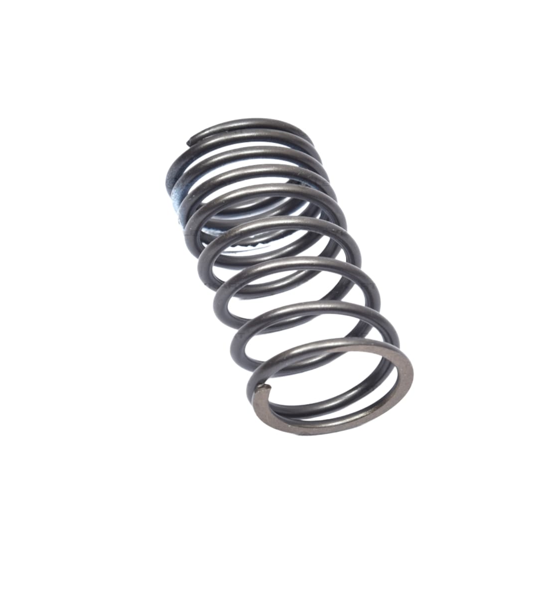 LEYPARTS X4M00110 VALVE SPRING INNER-H4-H6