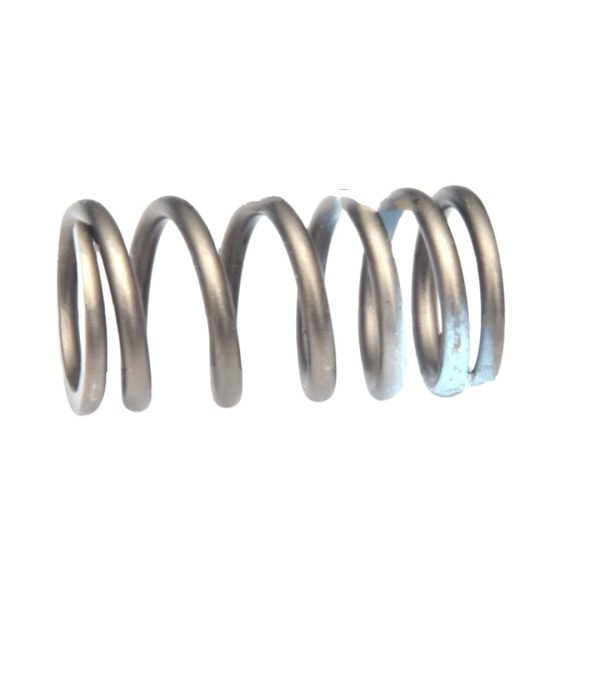 LEYPARTS X4M00210 VALVE SPRING OUTER H4 H6