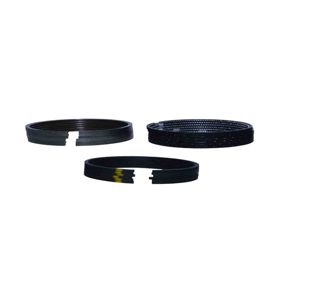 LEYPARTS P0958851 RING SET BS1/BS2