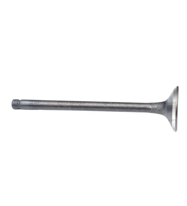 LEYPARTS F4231911 EXHAUST VALVE 6DT IND