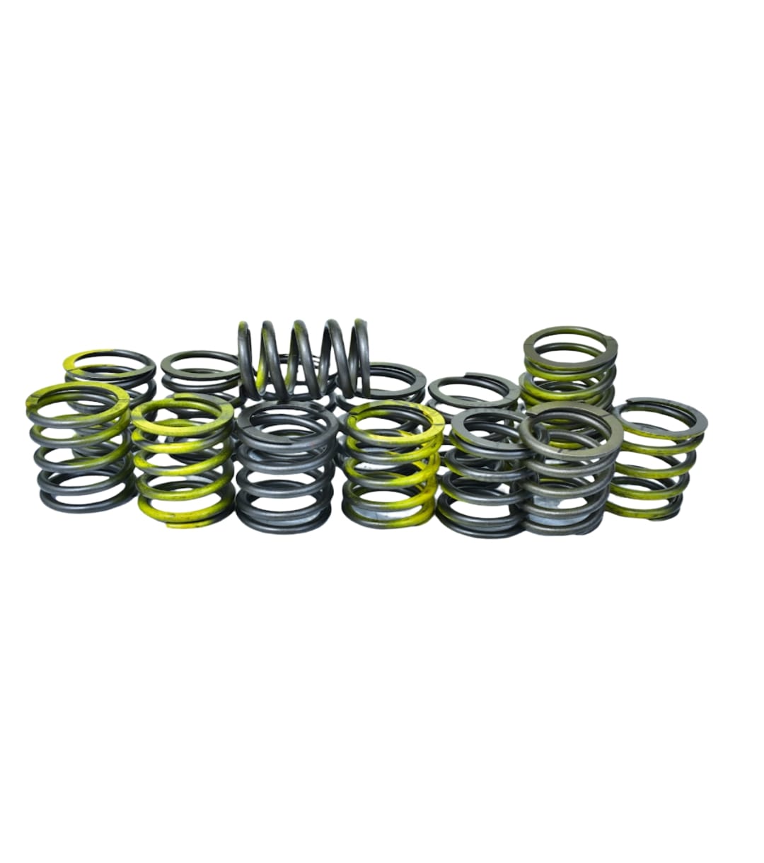 LEYPARTS PD600559 SPRING KIT