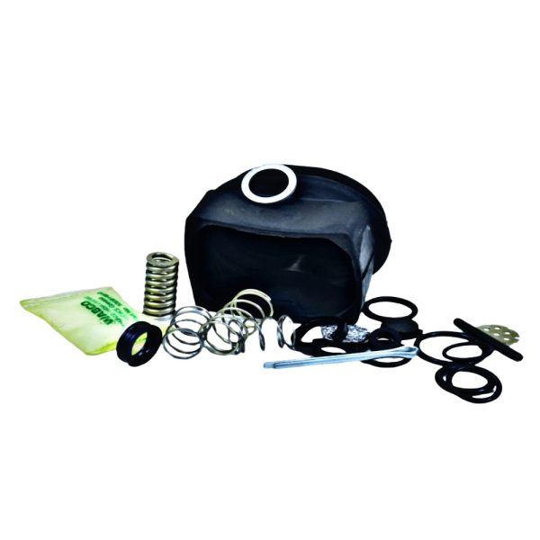 Leyparts P1023951 GHCV Repair Kit   MSP393