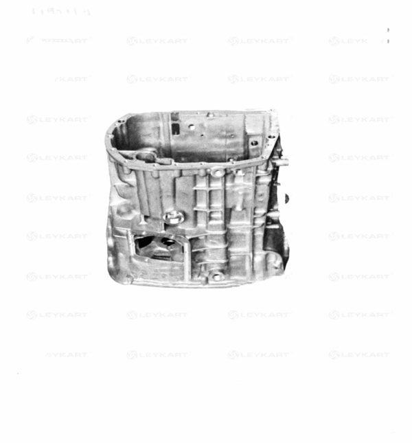 Leyparts F8R00142 Gear Box Housing