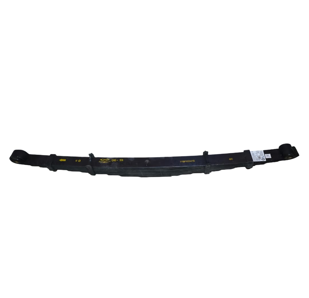 Leyparts F9F02415 Front Spring Assembly