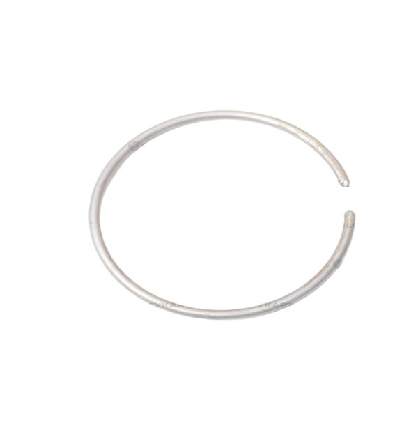 Leyparts P4301911 Retainer