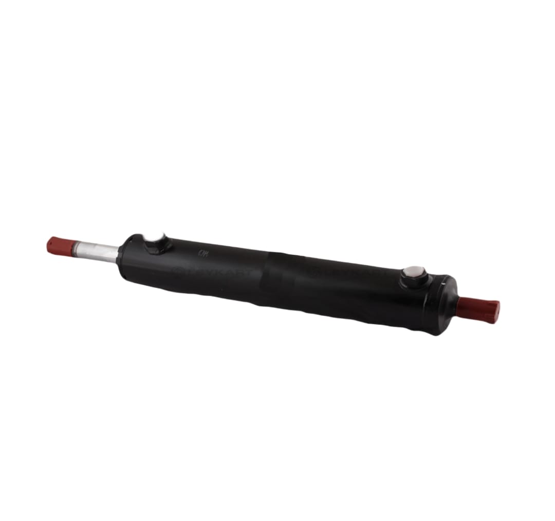 Leyparts F1001100 Power Assist Cylinder