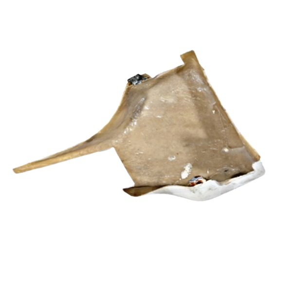 Leyparts FNN00488 Nacelle Dashboard Rear