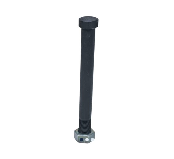 LEYPARTS P1B00200 CENTER BOLT  NUT B3201003