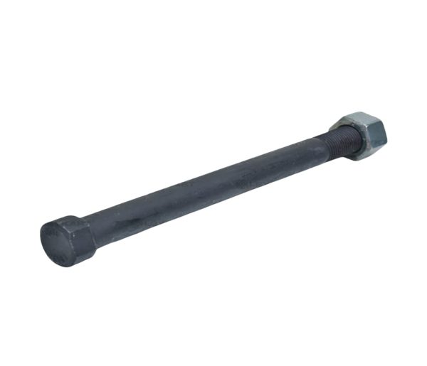 LEYPARTS P1B00200 CENTER BOLT  NUT B3201003
