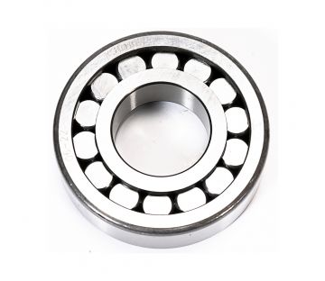 EICHER ID314061 PILOT BEARING