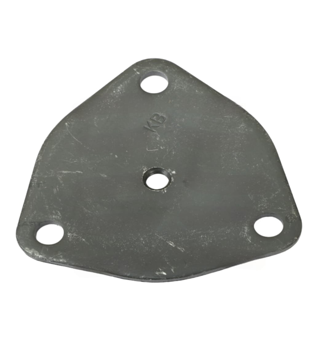 LEYPARTS F118714 COVER PLATE FOR KING PIN
