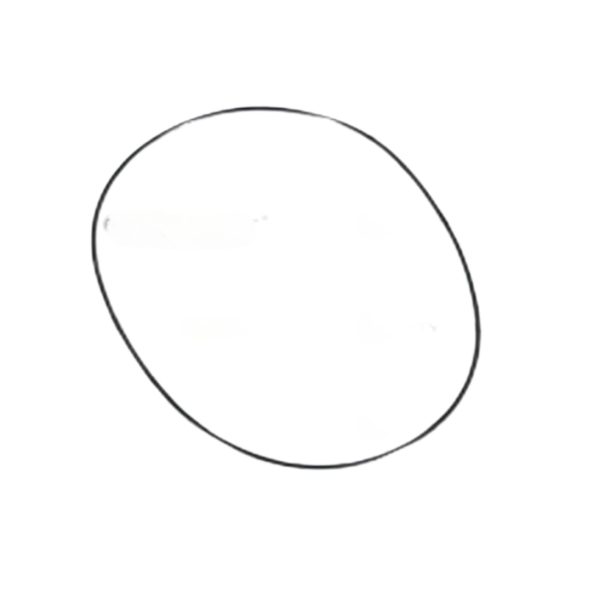 LEYPARTS P2200427 O RING OR 2 43