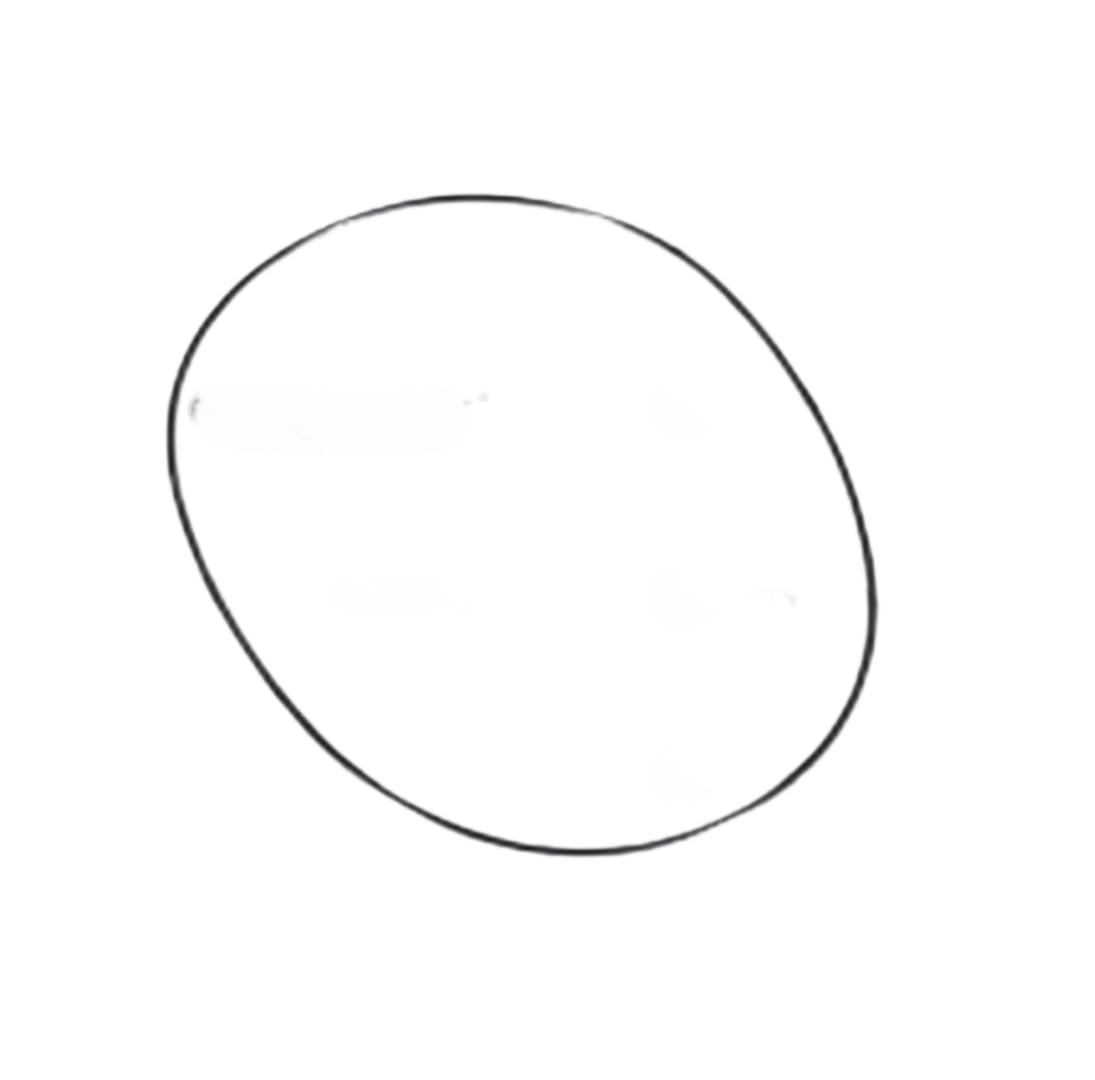 LEYPARTS P2200427 O-RING OR 2-43