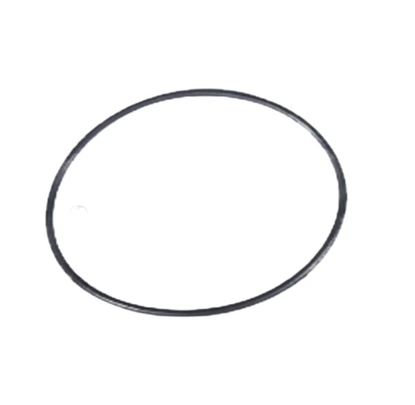 LEYPARTS P2200527 O RING