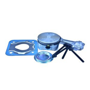LEYPARTS PD601169 PISTON CONROD CAP GASKET KIT