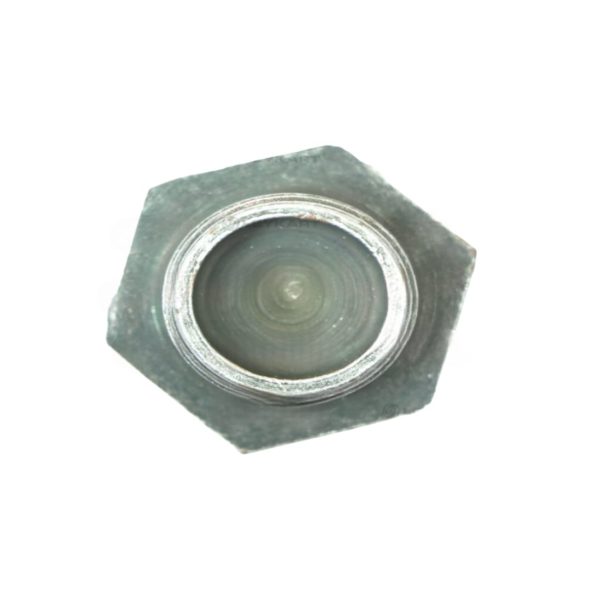 LEYPARTS F3147115 PLUG VALSPG 6D
