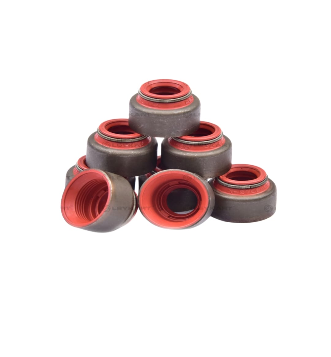 LEYPARTS P0982051 VALVE STEM SEAL KIT H4