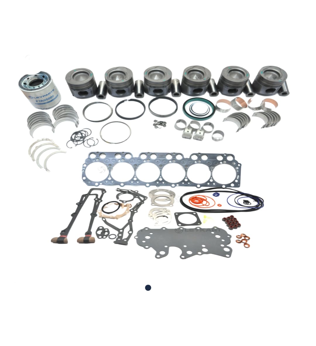 LEYPARTS P5104930 ENG OVERHAUL HALF KIT 6DTI E2