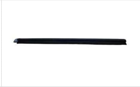 EICHER IA306120 MLDG ASSY DOOR OS RH