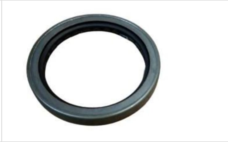 EICHER IA351951 OIL SEAL FRONT (NRB)