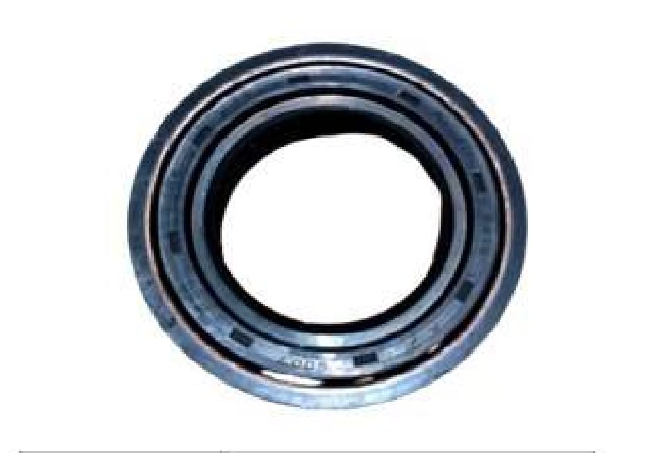 EICHER ID314004 OIL SEAL ASSY FLANGE