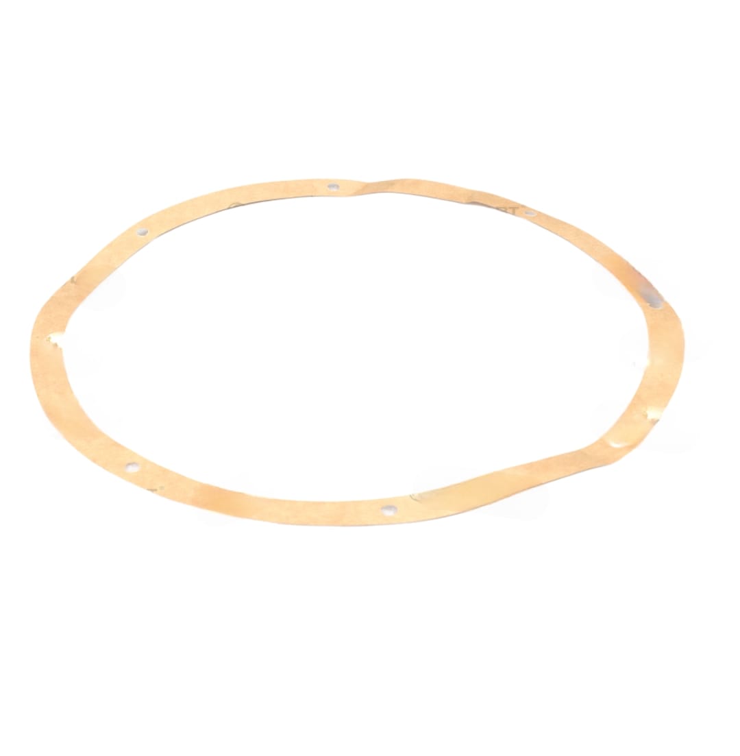 LEYPARTS F1753200 GASKET REAR HUB