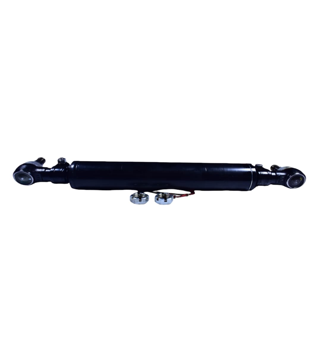 LEYPARTS FSB01000 CYLINDER POWER ASSIST BS6 W BALL JOINTS