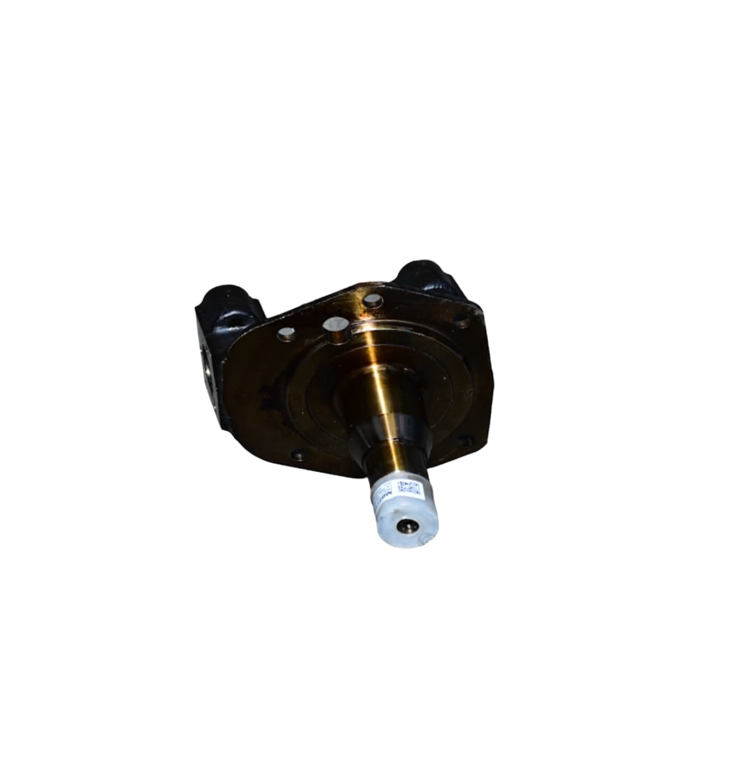 LEYPARTS MB311009 AXLE ARM-RH-FA99-CB-DRUM BRAKE