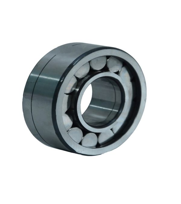 LEYPARTS P0P00193 PILOT BRG AM AXLE