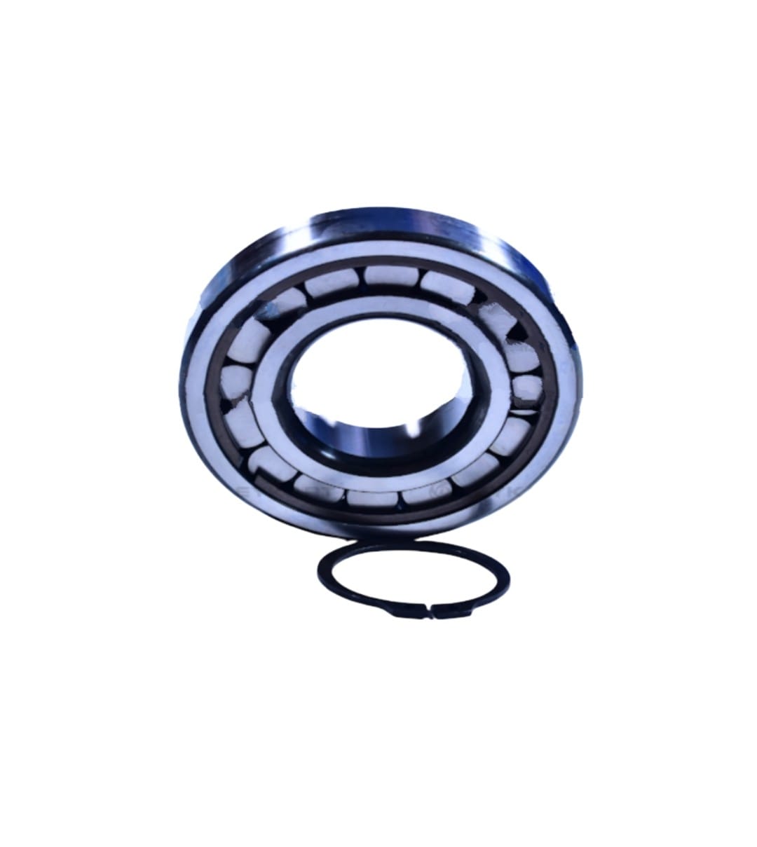 LEYPARTS P0P00325 BEARING ROLLER KIT