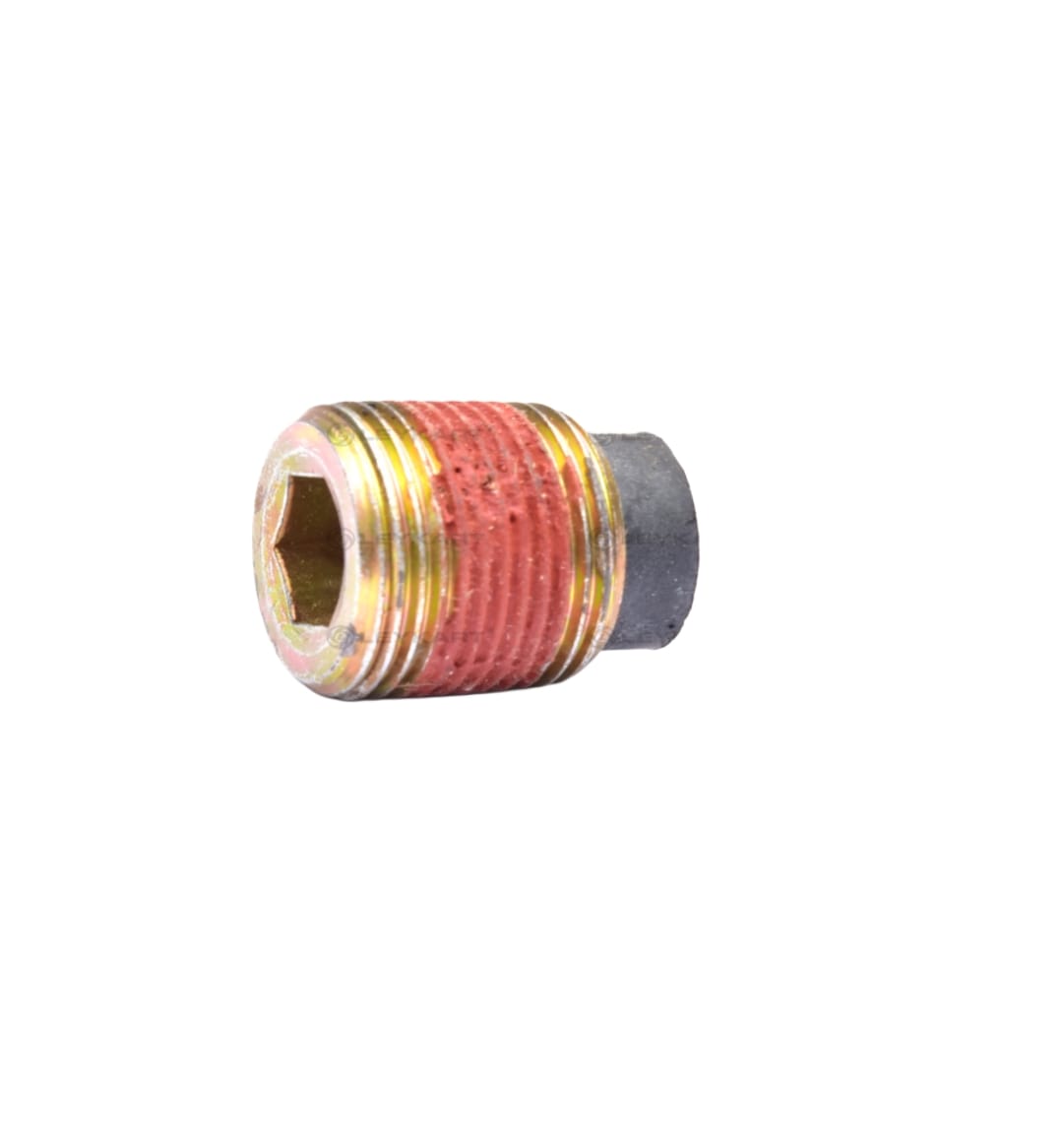 LEYPARTS P4302231 PLUG DRAIN MAGNETIC RS 160
