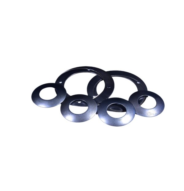 LEYPARTS PD601386 THRUST WASHER KIT MS165
