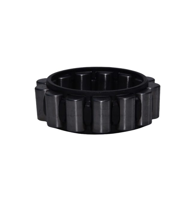 LEYPARTS F0261910 ROLLER CAGE REV IDL GER 9S