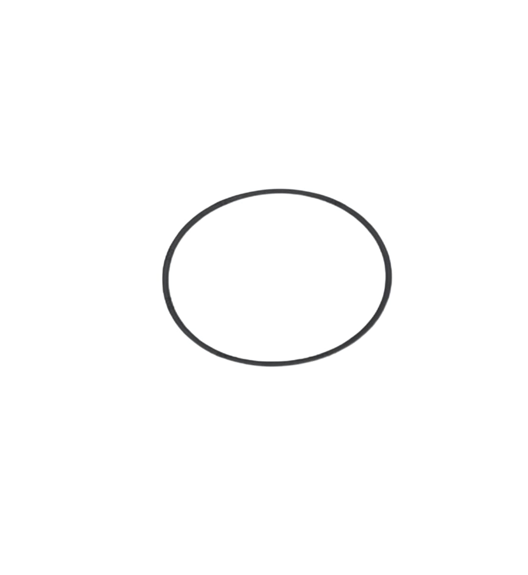 LEYPARTS PA400094 O RING