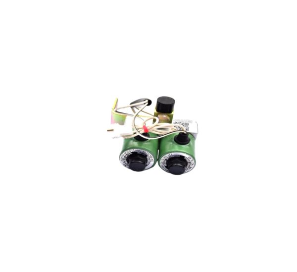LEYPARTS F4200800 GANG TYPE TWO SOLENOID VALVE