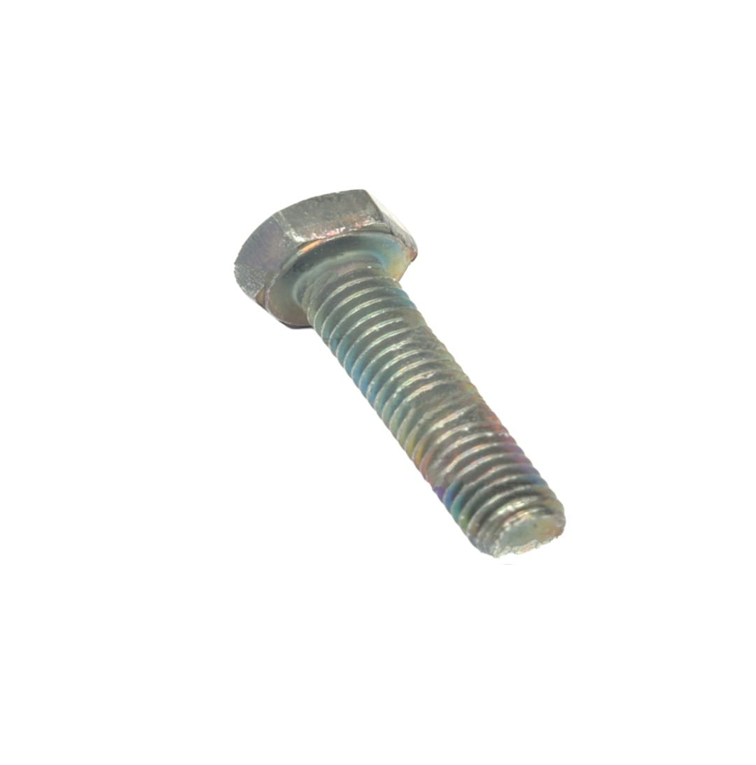 LEYPARTS L2010625 SCREW-HEX-M6 X 0.1 CP X 2.5 CM
