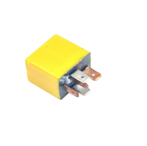 LEYPARTS FJ114300 24 V DUAL OUTPUT RELAY 5 PIN