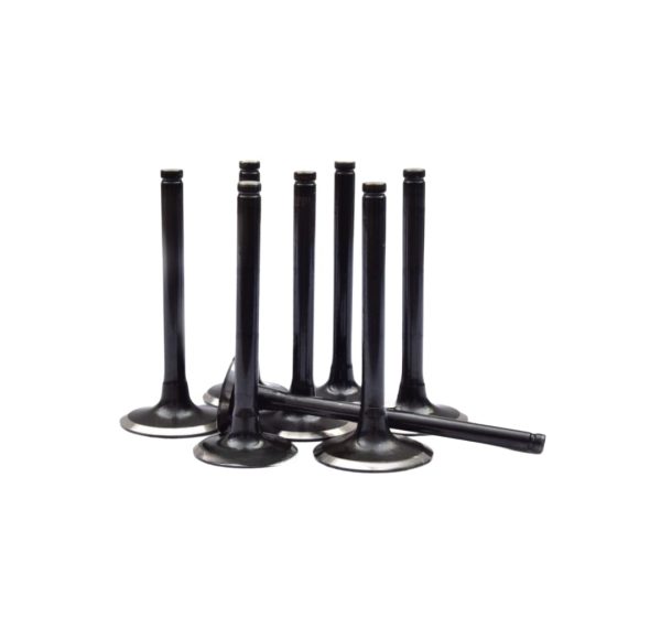 LEYPARTS P0951051 COMP VALVE KIT H4