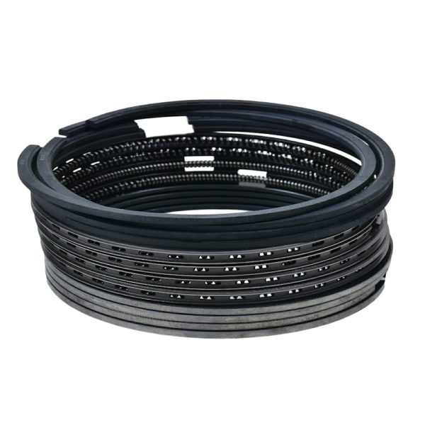 LEYPARTS P0959451 RING SET 4CTI E2